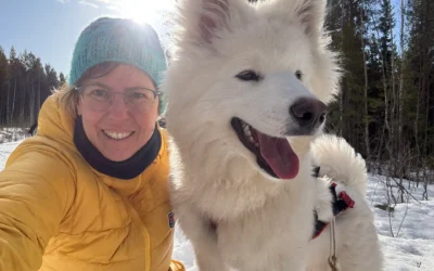 Unsere Hunde & wir: Warum Samojeden unsere Herzen erobert haben